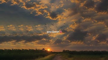 سورة الإنسان (كاملة) | القارئ (عبدالسلام العبيدي)