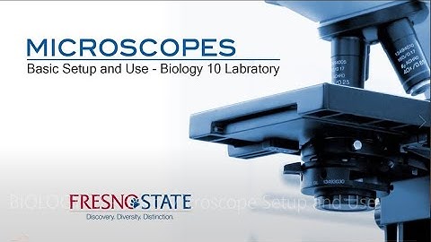 GRADE 7 - HOW TO USE MICROSCOPE?