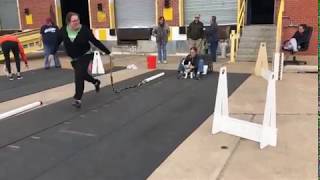 Fable Flyball Foundations 1