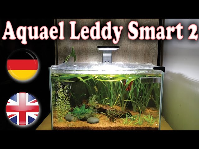 Aquael Leddy Smart 2 - Unboxing 🇩🇪 + 🇬🇧 (#74) - YouTube