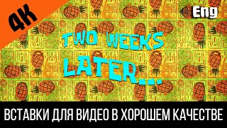 #3 Two Weeks Later / Две Недели Спустя | Spongebob Timecard | Вставка Для Видео | Insert For Video