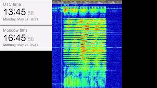 The Buzzer/UVB-76(4625Khz) May 24, 2021 Voice messages