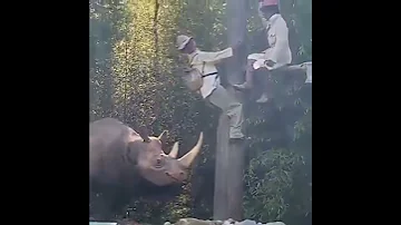 Mkude Simba Lufufu Mpya 