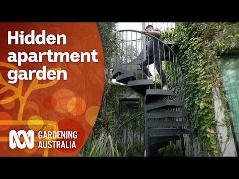 Large architecturally designed native garden in an apartment | Garden Design | Gardening Australia