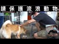 今日我去見流浪動物.悲慘的大多數(中文字幕）