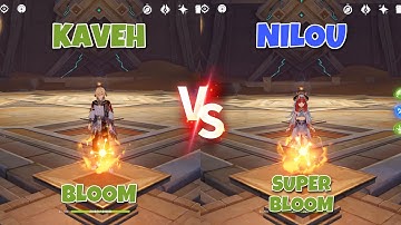 Kaveh Bloom vs Nilou Super Bloom Gameplay Comparisons & Showcases! Can Kaveh Compete with Nilou???