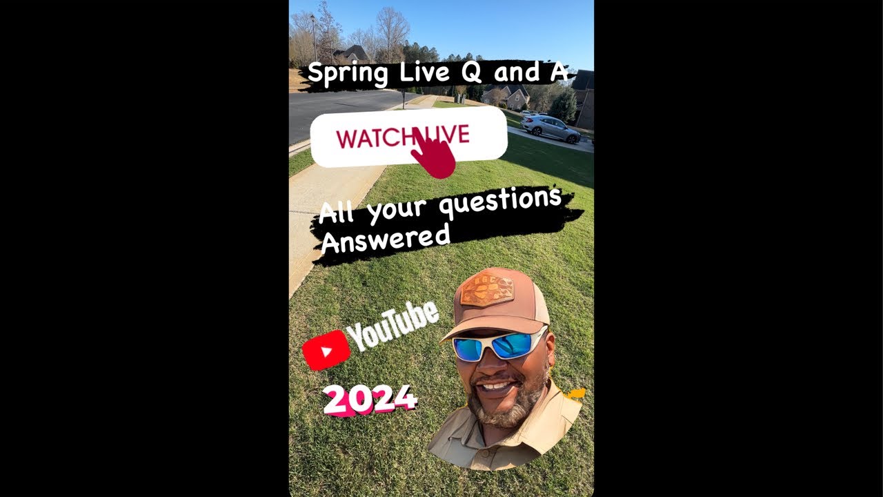 Spring Q A SPRING LIVE Q and A ( All questions answered ) - YouTube