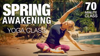 Spring Awakening Yoga Class - Five Parks Yoga - 60 Minute Class