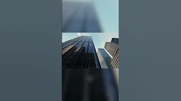 К чему приводит вырубка лесов