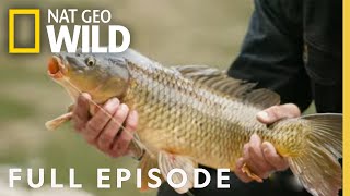 Hook in the Hudson (Full Episode) | Fish My City with Mike Iaconelli