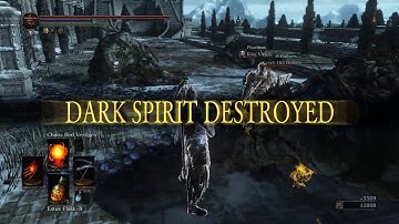 (18+) Dark Souls 3 - Encounter With a Hacker! GONE SEXUAL! MUST WATCH! TRY NOT TO LAUGH! NO SARCASM!