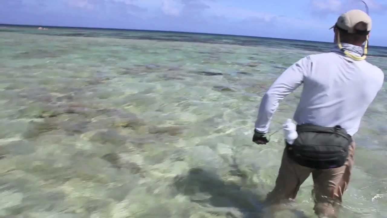 FlyCastaway Farquhar GT Fishing.mov