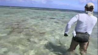 FlyCastaway Farquhar GT Fishing.mov