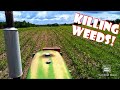 Spraying Corn/ New Pasture/ Antibiotic Testing our Milk