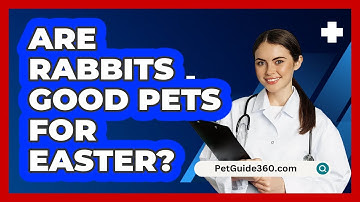 Are Rabbits Good Pets For Easter? - PetGuide360.com