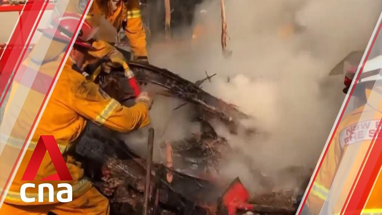 Australian Fires Volunteers Around The World Knit Koala Mittens And Kangaroo Pouches Youtube