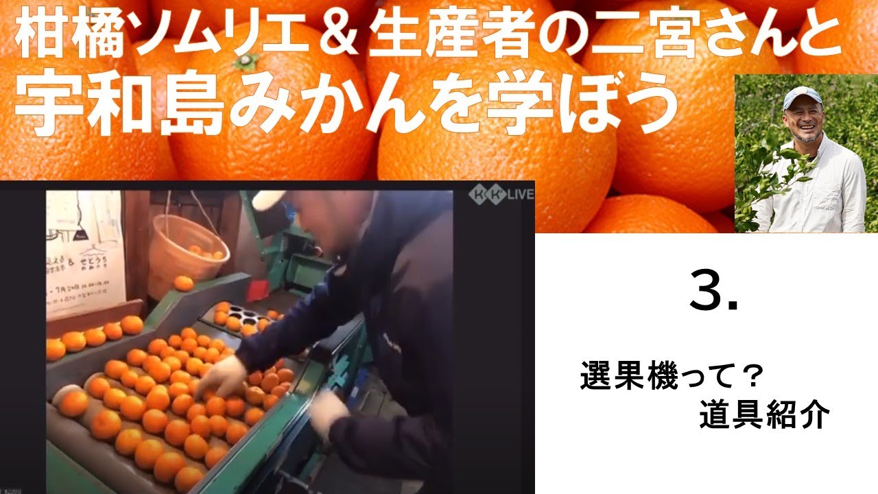 柑橘ソムリエ＆生産者の二宮新治さんと宇和島みかんを学ぼう 3.選果機