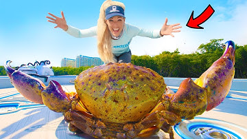 Giant Stone Crab Barehanded Catch & Cook