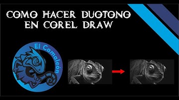 COMO HACER DUOTONO EN COREL (serigrafía)