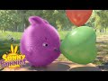 SUNNY BUNNIES - Love Heart Balloon | Season 3 | Cartoons for Children