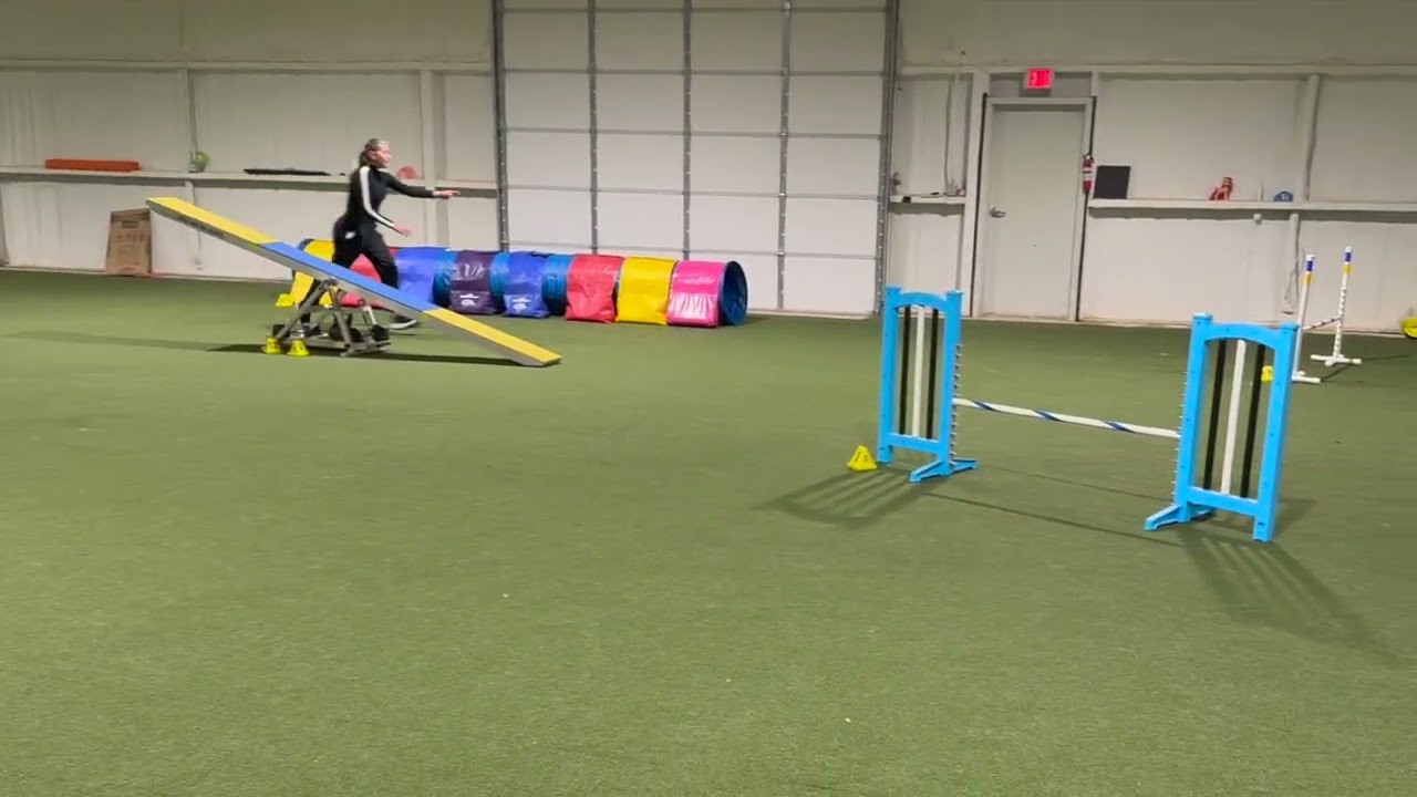 Getting It Right: Layla’s Young Dog Agility Workshop