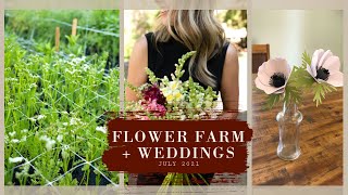 FLOWER FARMING BLOOM UPDATE, WEDDINGS, + making paper flowers!