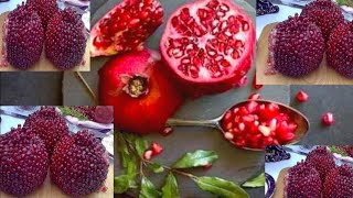 أسهل طريقة لتقشير الرمان/تفصيص الرمان/فوائد الرمان/The best way to Open &Eat pomegranate