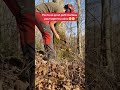 pov tu as oublié la hache et tu as qu'un petit marteau pour taper sur les coins😅 #bucheron #ms500i