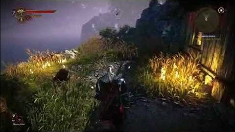 The Withcer 2 - Visionary