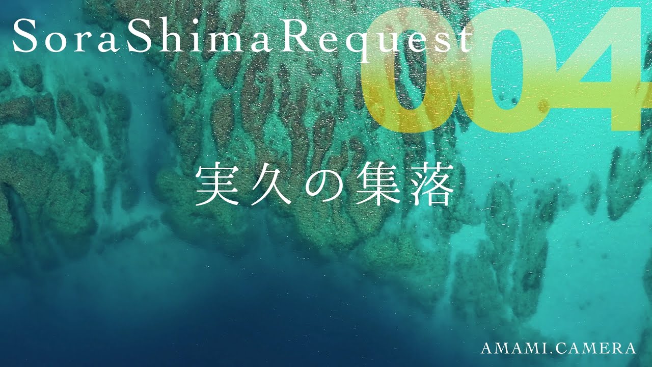 【リクエスト004】加計呂麻島、実久の集落（ドローン空撮 4K）