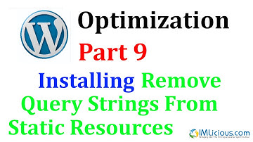 WordPress Optimization Part 9: Installing Remove Query Strings From Static Resources