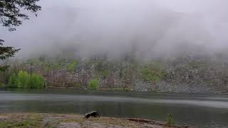 Birds singing at Eightmile lake, Washington. by BiologySoon 20 views 3 years ago 8 seconds
