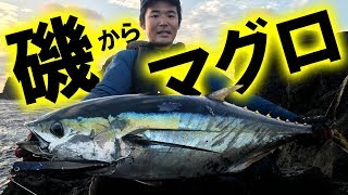 【磯からマグロ！】ロックショア青物 伊豆諸島・鵜渡根