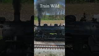 Riding The Rails #train #modeltrains #railroad
https://www.instagram.com/trainwild1/
About this Channel - My name is George, and I would like to welcome you to my O Scale Layout! I am a Model Train Enthusiast, Scale Modeler, Builder.
This channel is dedicated to sharing my fine scale layout, and Lionel O Gauge Trains with you. I designed & built this complex layout with the purpose of simultaneously running as many trains as possible as well as realistic train operations.
The layout dimensions are 16 x 24 with just over 600 of track. This represents 5.45 statute miles in real scale. The layout also has 2 turntables with a combined 17 whisker tracks, 44 switches (turnouts), including 4 double crossovers, 3 bridges (each on color matched to actual bridges across the U.S.), 11 sidings, 8 main lines of track that can run 8 fully loaded trains simultaneously, 350 lbs. of ballast, 100 lbs. of plaster rocks, 200 realistic scale figures, 30+ realistic scale vehicles, multiple scale buildings, hidden fun features (finding Bigfoot, animals, movie references, etc.) 401 pcs of track, 3 transformers (1 Lionel ZW-L, 2 Lionel ZWs) & 1 custom control panel that controls it all.
Fun Fact: I was part of the construction management team during the construction of a train platform, adjoining train tracks and switches in real life. I share this experience in one of my videos!
I enjoy operating the layout and making really cool train videos to share with you.
Please Subscribe to my channel to view all of the upcoming videos! Riding The Rails #train #modeltrains #railroad