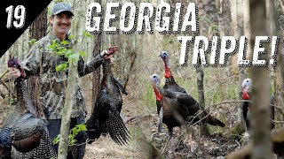 CALLING IN 7 GOBBLERS in the AFTERNOON 