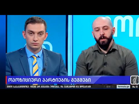 \"გირჩი მეტი თავისუფლების\" გეგმები მომავალი 1 წელი - ბორის ჩელე ყურუა