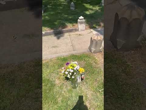 Flowers On John Wilkes Booth Grave Site Tradewindstravel Travel Shorts Lincoln Baltimore