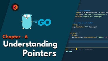 Chapter 6 - Understanding Pointers || Golang