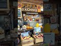 new england fall vlog