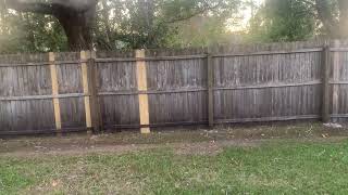 5233 Julington Forest Drive South Jacksonville FL 32258