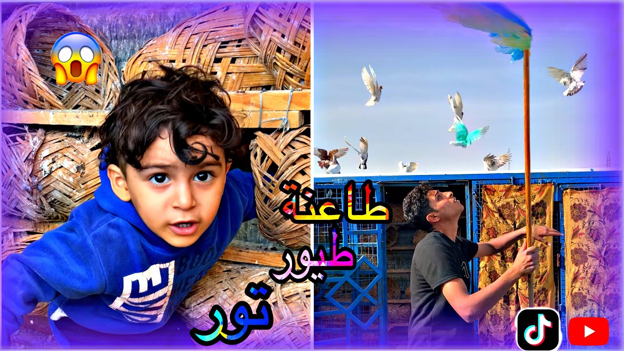 اليوم صعدنا  يم الطيور وطيرناها لكم حمودي سكيت 2024