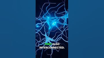 Neuroscience Behind Subconscious Mind: It