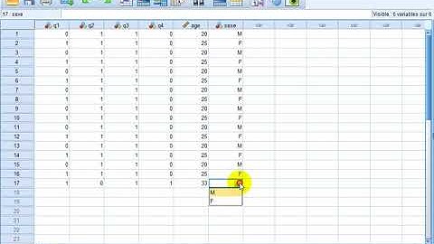 SPSS  Analyse des questions à réponses multiples تحليل الاجابات المتعددة بواسطة برنامج SPSS