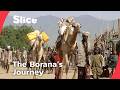 Into The Mouth Of The Devil A Borana Rite Of Passage SLICE FULL DOCUMENTARY