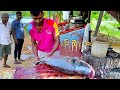 Dont miss this  the one and only super speed catla fish cutter in sri lanka
