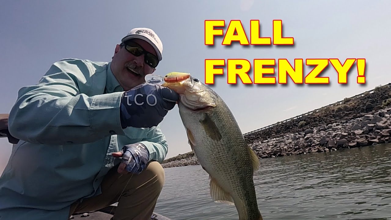 Top Baits For Catching Bass During The Fall Season | Bass Fishing