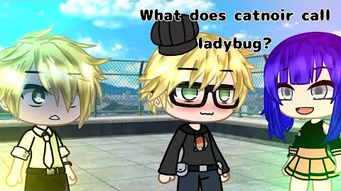 What does catnoir call ladybug? Meme  | Miraculous ladybug [MLB] | Gacha Club