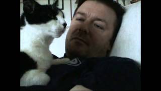 Ricky Gervais - Colin the Cat.