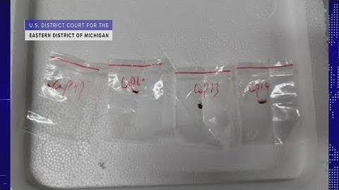 Chinese nationals charged with smuggling toxic fungus into Michigan | On Balance