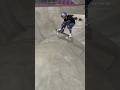 Ariake Skatepark where the Tokyo Olympics Skateboarding was held #skateboarding #olympics #shorts